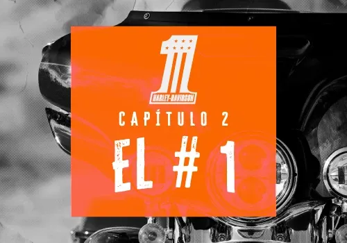 VER VIDEO